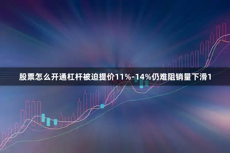 股票怎么开通杠杆被迫提价11%-14%仍难阻销量下滑1